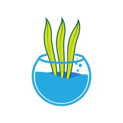Fresh Water Plant